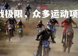 米兰体育APP-挑战极限，众多运动项目精彩纷呈，挑战极限下一句是什么