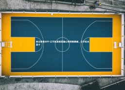 米兰体育APP-辽宁队高收获雄心燃烧登巅峰，辽宁队大高个