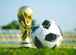 米兰体育APP-雷恩勇夺胜利，打破强队之藩篱，雷恩简介